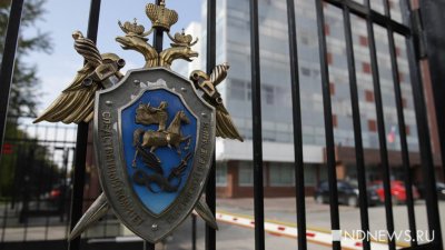 СКР проверит причины отравления 63 человек в петербургской школе