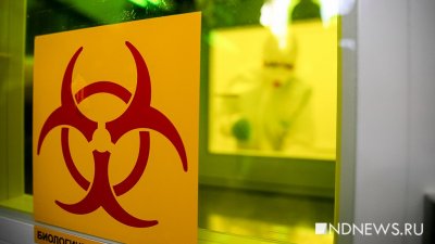 В России число новых случаев коронавируса снова меньше 9 тысяч