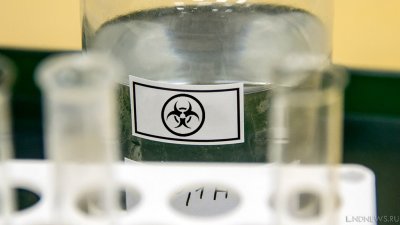 В России выявили 8 008 случаев заражения коронавирусом за сутки