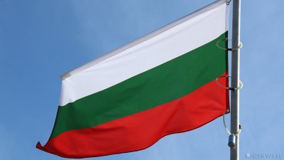 Президент Болгарии запретил отдавать бронетехнику Украине