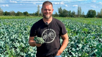От борщевого набора – к кучерявому кейлу: фермер из Ленинградской области рассказал, как занялся выращиванием элитной зелени в промышленных объемах