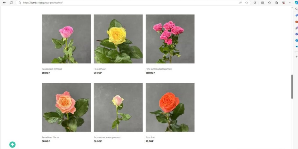 Новый День: Гвоздики и тюльпаны – где и за сколько можно купить цветы к Дню Победы