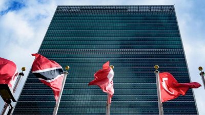 Координатором по Газе от ООН назначена и.о. главы минфина Нидерландов
