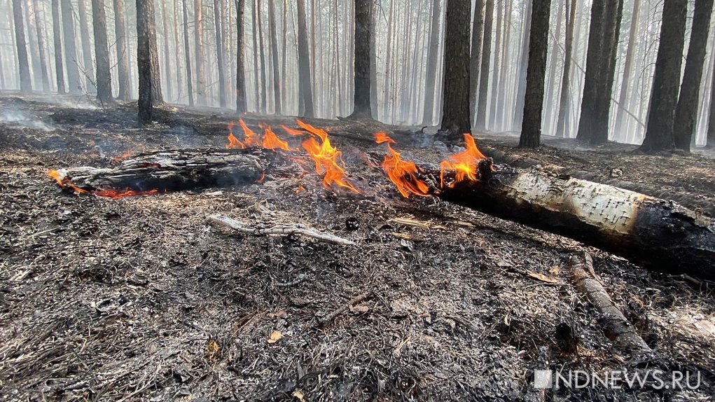 Особый режим: пожароопасный сезон в Свердловской области начнется 10 апреля